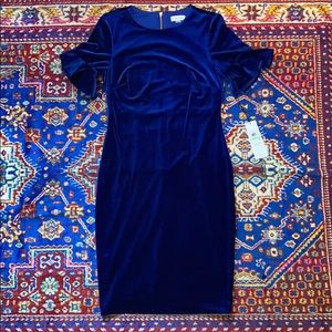 NWT CALVIN KLEIN Blue Velvet Dress Flutter Sleeves